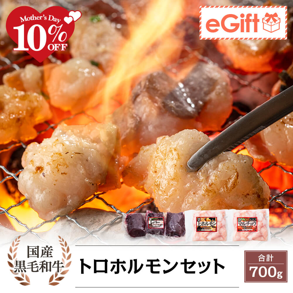 国産黒毛和牛 トロホルモンセット 3種｜上ホルモン・マルチョウ・レバーブロック