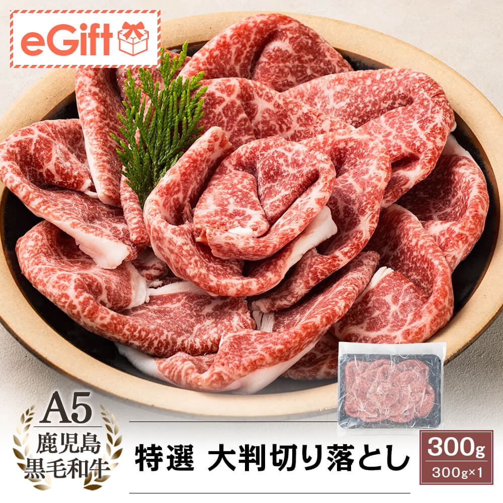 A5等級 鹿児島県産黒毛和牛 特選 大判 切り落とし 300g