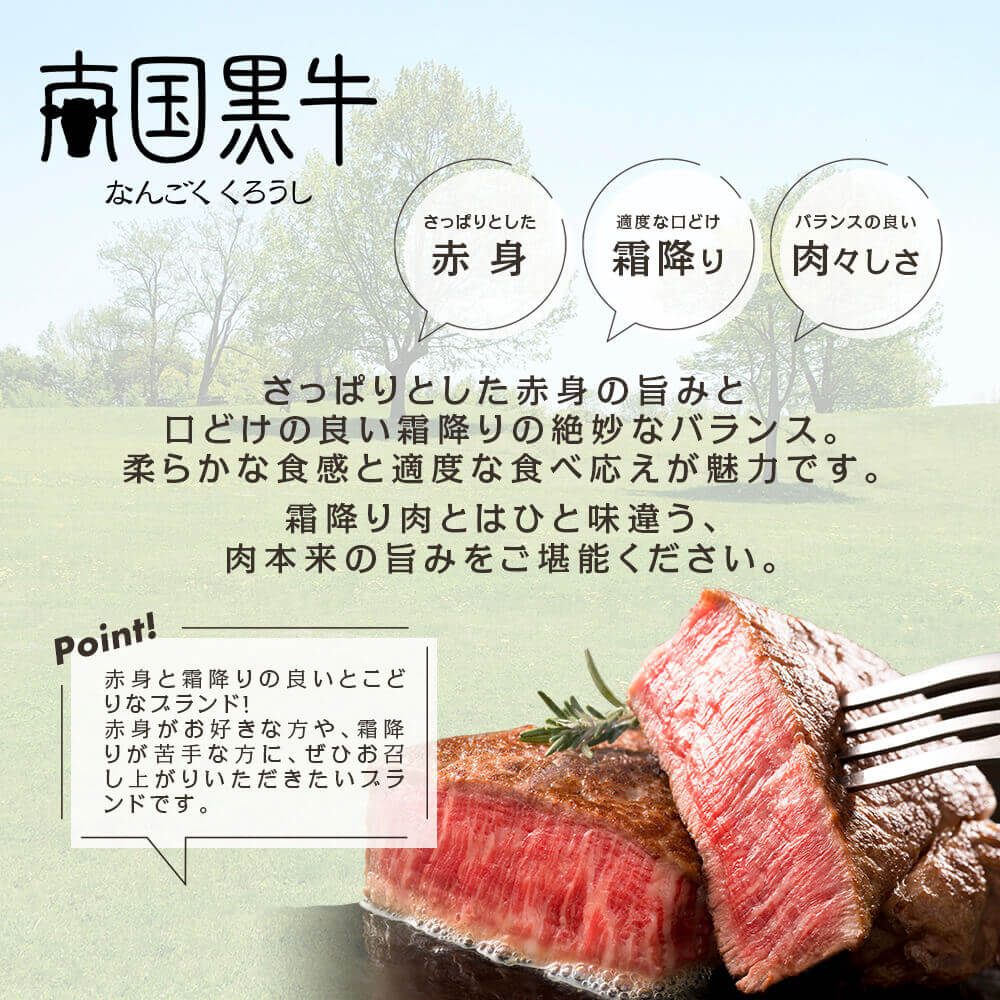 鹿児島県産 南国黒牛 肉専用種 サーロインステーキ 200g カミチク ファーマーズマーケット 上質な和牛を鹿児島から