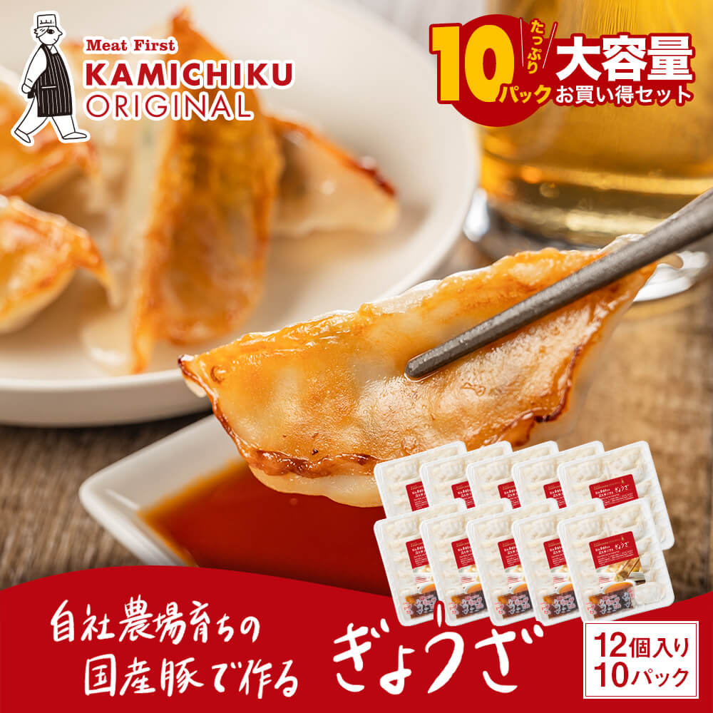 【カミチクオリジナル｜大容量】自社農場育ちの国産豚で作る ぎょうざ 12個入×10パック