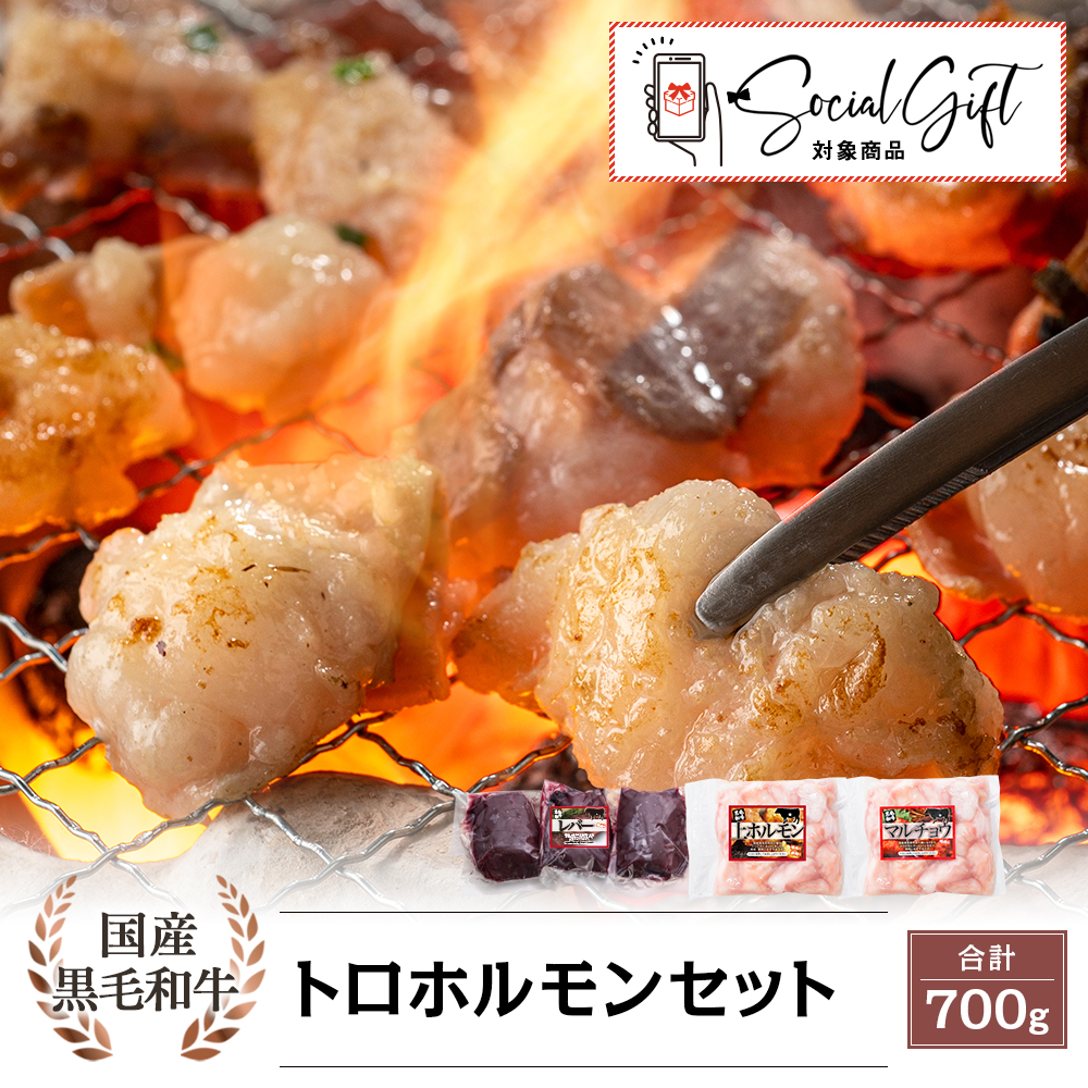 送料無料】国産黒毛和牛 トロホルモンセット 3種｜上ホルモン