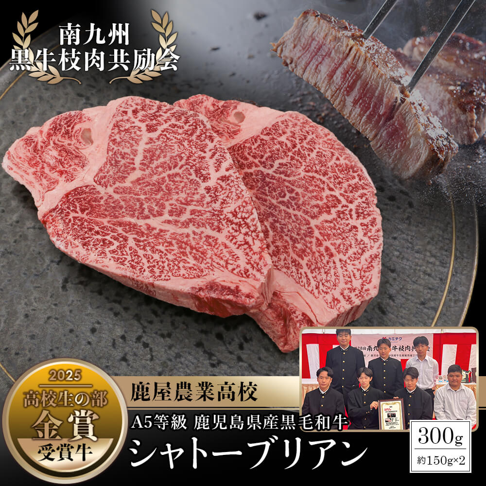 【送料無料｜数量限定】南九州黒牛枝肉共励会 受賞牛！A5等級 鹿児島県産黒毛和牛 シャトーブリアンステーキ 300g(約150g×2枚)｜高校生の部 金賞 鹿屋農業高校生が育てた極上精肉をお届け