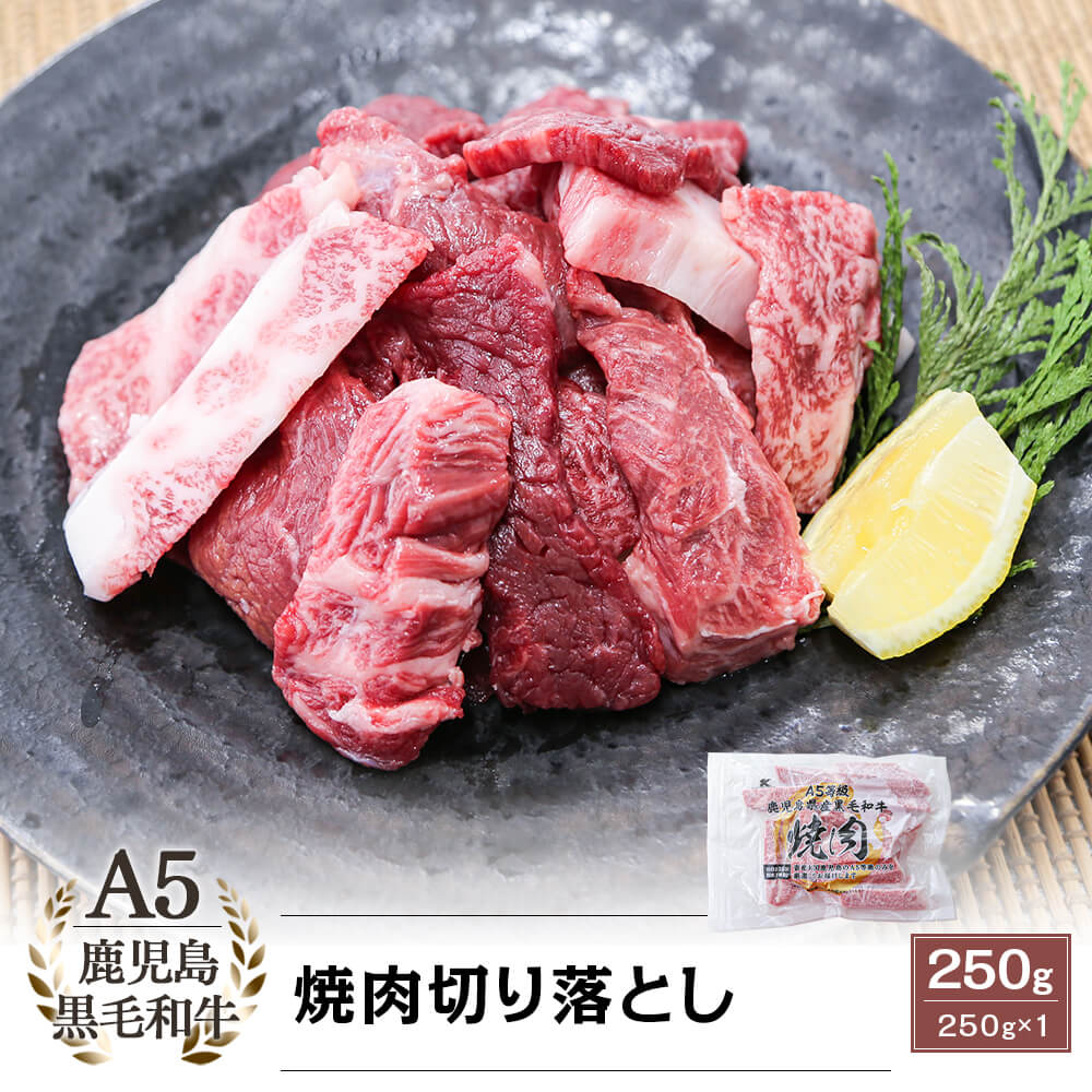 A5等級 鹿児島県産黒毛和牛 焼肉 切り落とし 250g